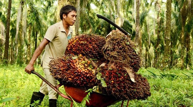 Ketika Harga Komoditas Naik, Mengapa Ekonomi Indonesia Tetap Lesu?