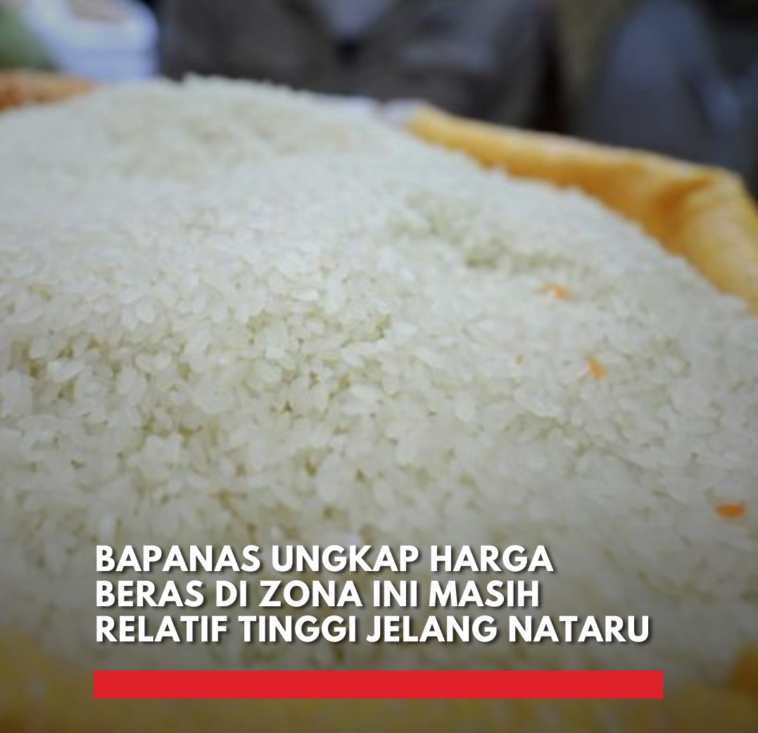 Harga Beras di Maluku–Papua Masih Tinggi Jelang Nataru 2025/2026 harga beras Maluku Papua