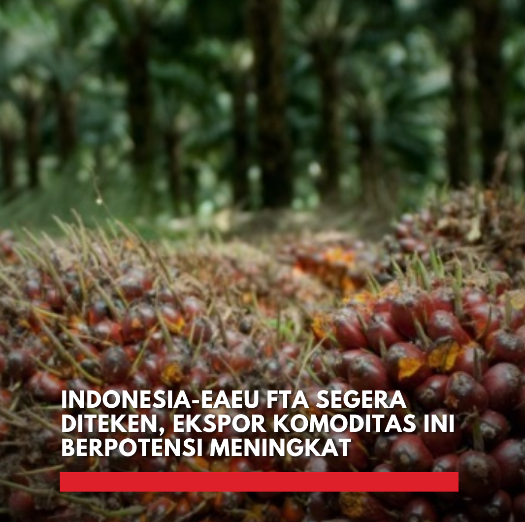 Indonesia Siap Teken I-EAEU FTA, Akses Pasar Eurasia Makin Terbuka Indonesia-EAEU FTA